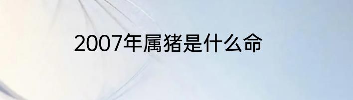 2007年属猪是什么命