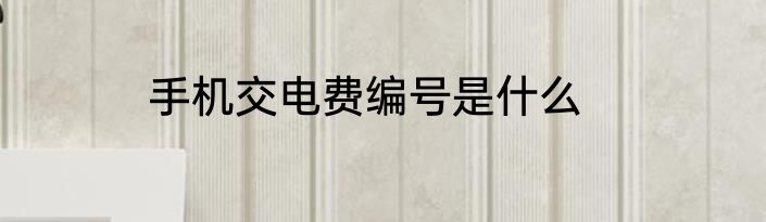 手机交电费编号是什么