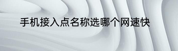 手机接入点名称选哪个网速快