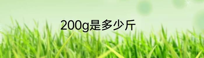 200g是多少斤