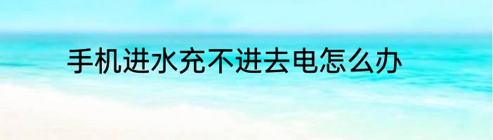手机进水充不进去电怎么办