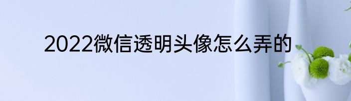2022微信透明头像怎么弄的