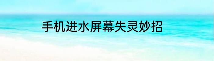 手机进水屏幕失灵妙招