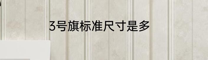 3号旗标准尺寸是多