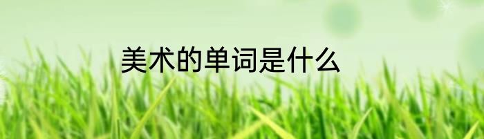 美术的单词是什么