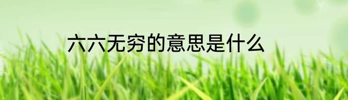 六六无穷的意思是什么