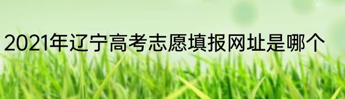 2021年辽宁高考志愿填报网址是哪个