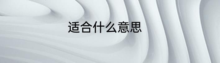 适合什么意思