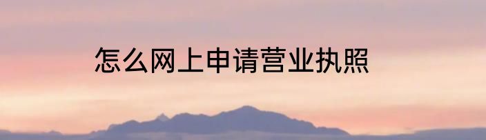 怎么网上申请营业执照