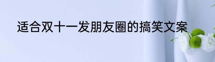 适合双十一发朋友圈的搞笑文案