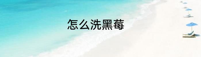 怎么洗黑莓
