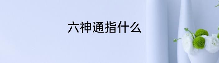 六神通指什么