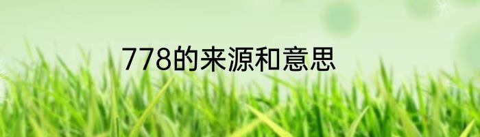 778的来源和意思