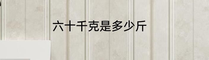 六十千克是多少斤