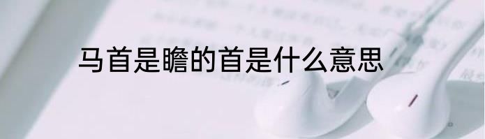 马首是瞻的首是什么意思