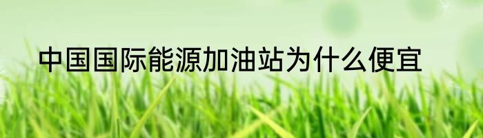 中国国际能源加油站为什么便宜