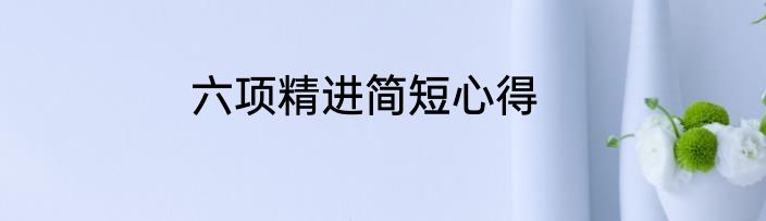 六项精进简短心得