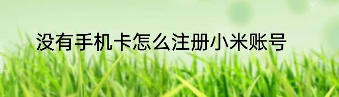 没有手机卡怎么注册小米账号