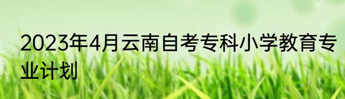 2023年4月云南自考专科小学教育专业计划