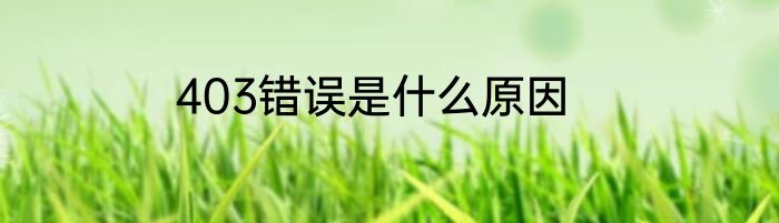 403错误是什么原因