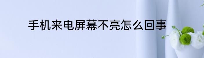 手机来电屏幕不亮怎么回事