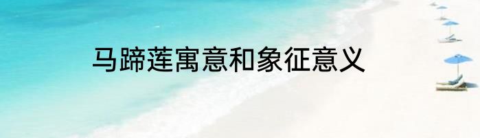 马蹄莲寓意和象征意义