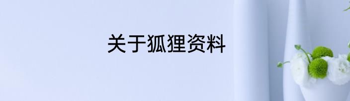 关于狐狸资料