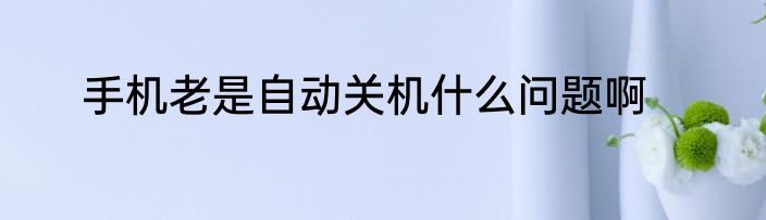 手机老是自动关机什么问题啊