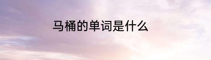 马桶的单词是什么