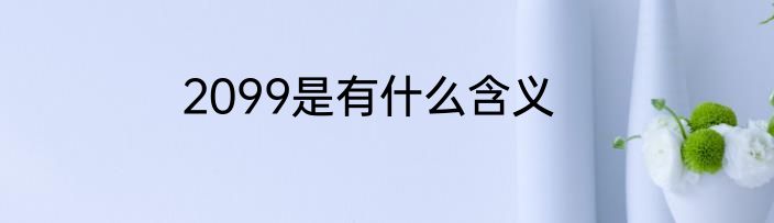 2099是有什么含义