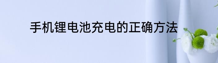 手机锂电池充电的正确方法