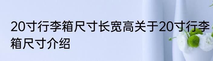 20寸行李箱尺寸长宽高关于20寸行李箱尺寸介绍