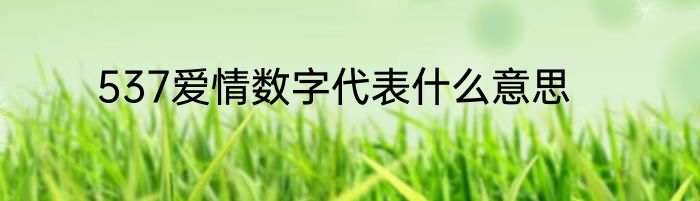 537爱情数字代表什么意思