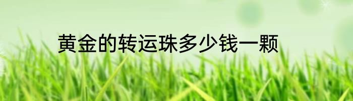黄金的转运珠多少钱一颗
