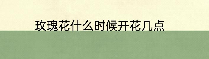 玫瑰花什么时候开花几点