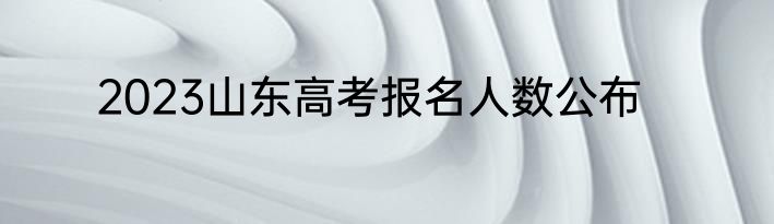 2023山东高考报名人数公布