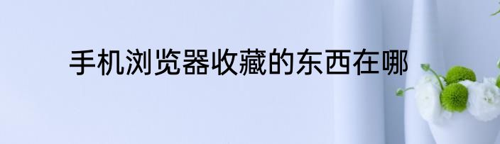 手机浏览器收藏的东西在哪