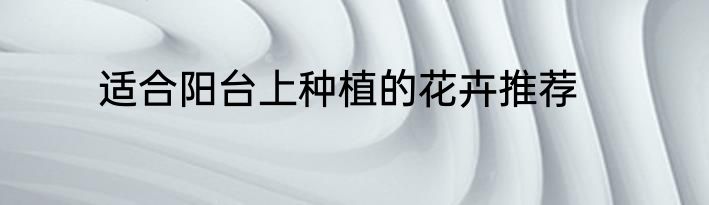 适合阳台上种植的花卉推荐