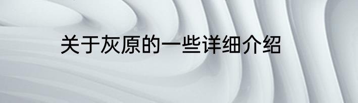 关于灰原的一些详细介绍