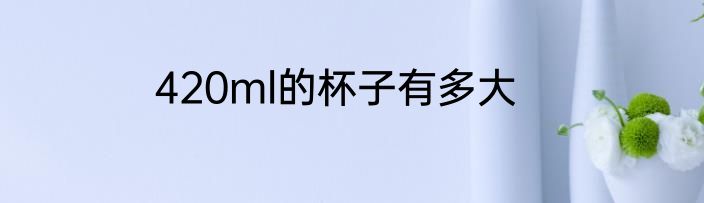 420ml的杯子有多大