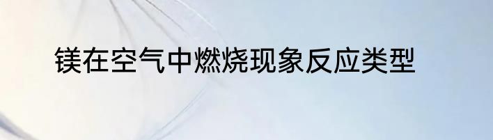 镁在空气中燃烧现象反应类型