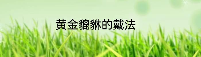 黄金貔貅的戴法