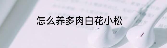 怎么养多肉白花小松
