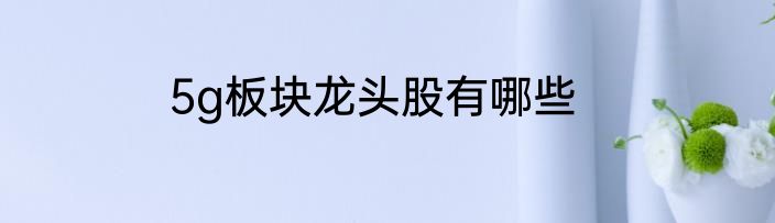 5g板块龙头股有哪些