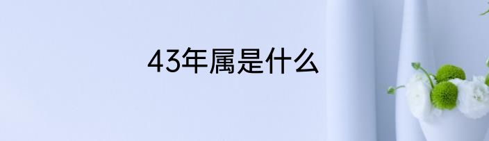 43年属是什么
