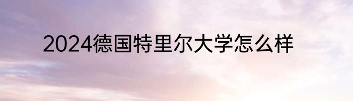 2024德国特里尔大学怎么样