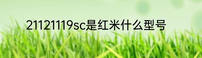 21121119sc是红米什么型号