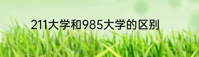 211大学和985大学的区别