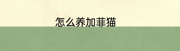 怎么养加菲猫