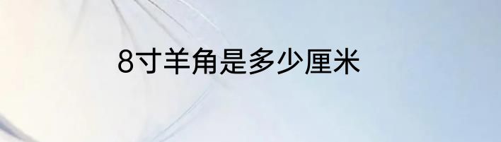 8寸羊角是多少厘米
